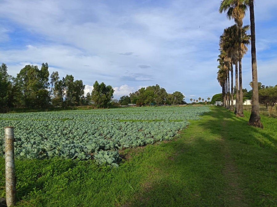 4 Bedroom Property for Sale in Mooinooi North West